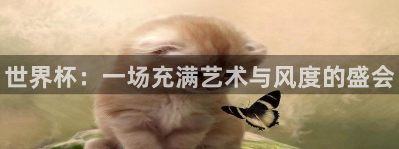 世界杯直播观看：世界杯：一场充满艺术与风度的盛会