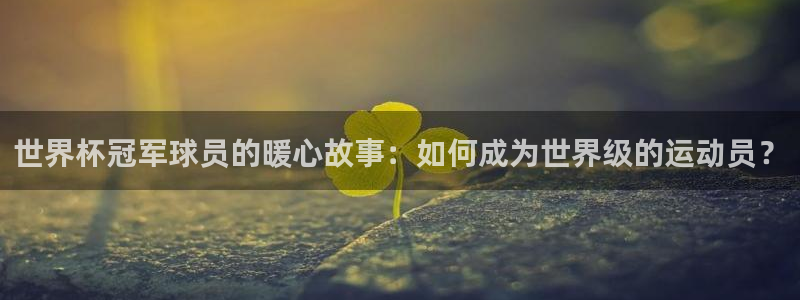 世界杯预选赛欧洲赛区积分榜：世界杯冠军球员的暖心故事：如何成为世界级的运动员？