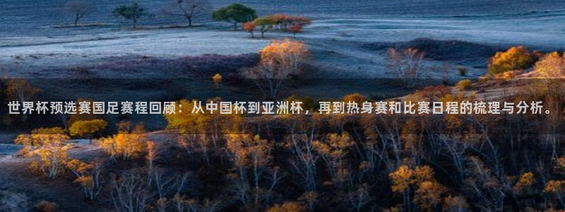 世界杯预选赛排名：世界杯预选赛国足赛程回顾：从中国杯到亚洲杯，再到热身赛和比赛日程的梳理与分析。
