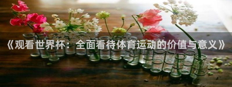 2026世界杯亚洲区预选赛赛程：《观看世界杯：全面看待体育运动的价值与意义》