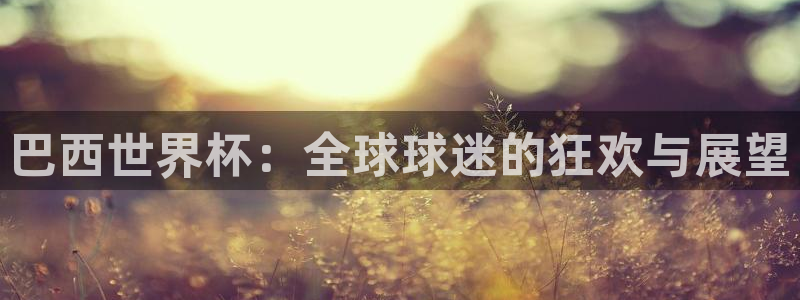 世界杯预赛赛程：巴西世界杯：全球球迷的狂欢与展望