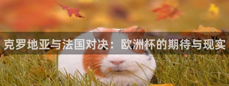 2026世界杯赛：克罗地亚与法国对决：欧洲杯的期待与现实