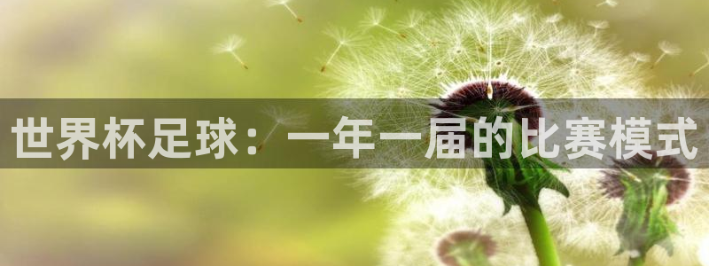 世界杯官网：世界杯足球：一年一届的比赛模式