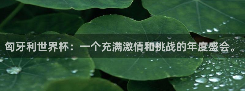 世界杯欧洲区赛程：匈牙利世界杯：一个充满激情和挑战的年度盛会。