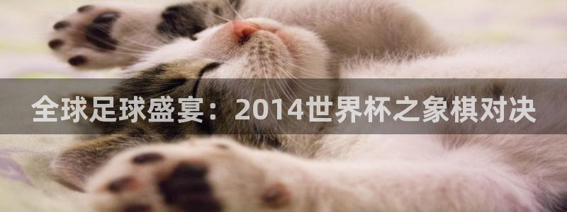 欧洲世预赛赛程表：全球足球盛宴：2014世界杯之象棋对决