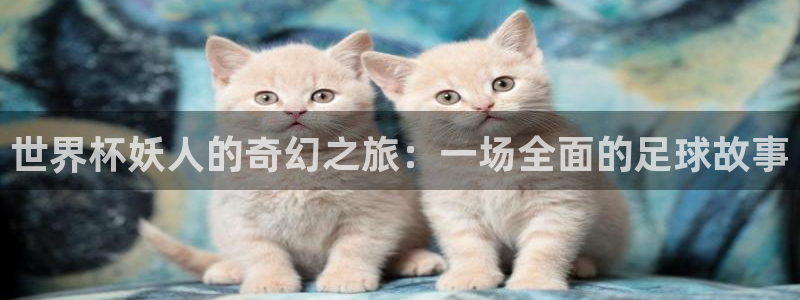 世预赛欧洲赛程表：世界杯妖人的奇幻之旅：一场全面的足球故事