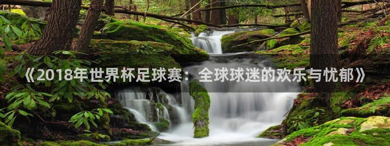 欧洲世界杯预选赛赛程：《2018年世界杯足球赛：全球球迷的欢乐与忧郁》