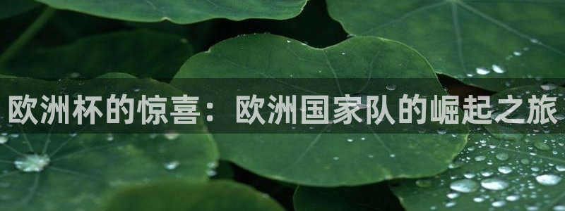 世界杯直播网：欧洲杯的惊喜：欧洲国家队的崛起之旅