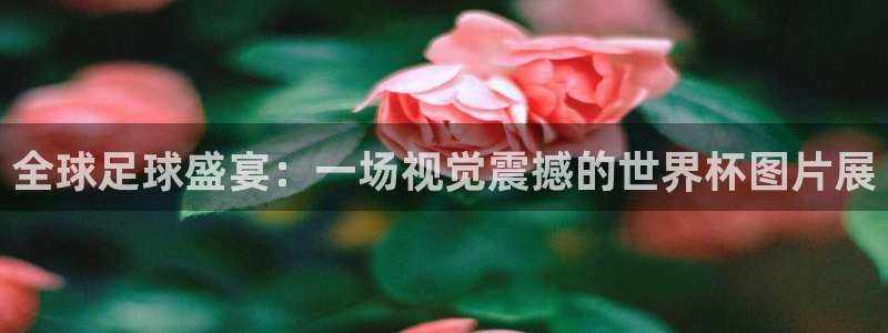 世界杯足球赛2026赛程时间：全球足球盛宴：一场视觉震撼的世界杯图片展