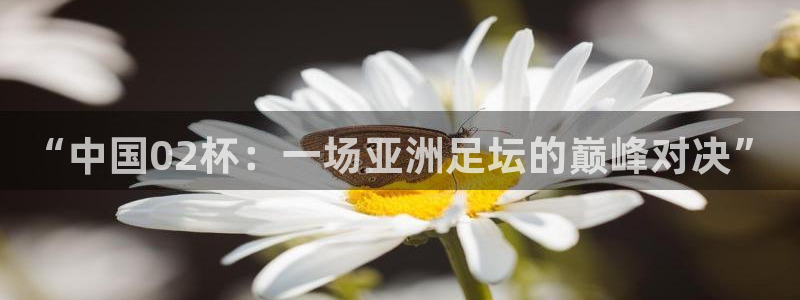 世界杯足球赛2026赛程时间：“中国02杯：一场亚洲足坛的巅峰对决”