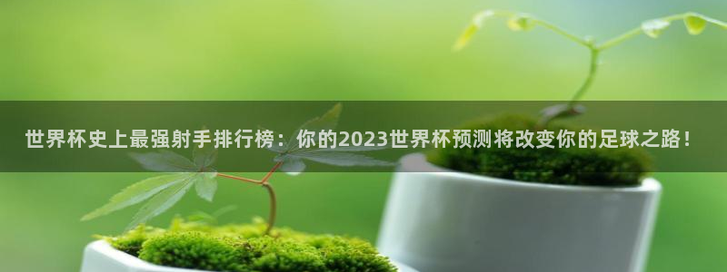 世界杯欧洲区赛程：世界杯史上最强射手排行榜：你的2023世界杯预测将改变你的足球之路！