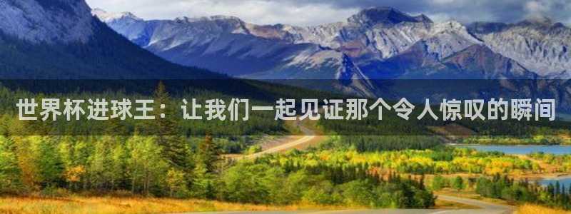 世界杯预选赛赛程：世界杯进球王：让我们一起见证那个令人惊叹的瞬间