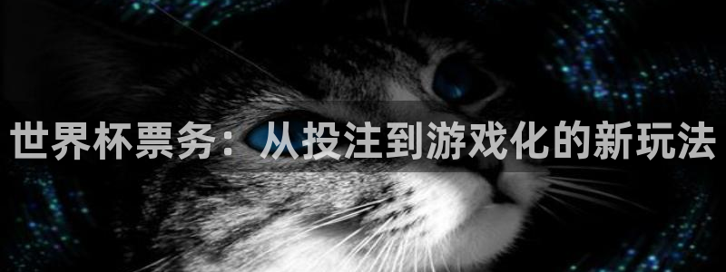 世界杯直播网站：世界杯票务：从投注到游戏化的新玩法