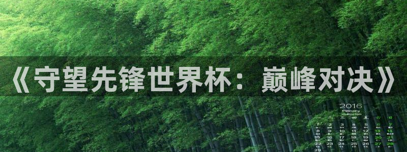 世界杯决赛直播：《守望先锋世界杯：巅峰对决》