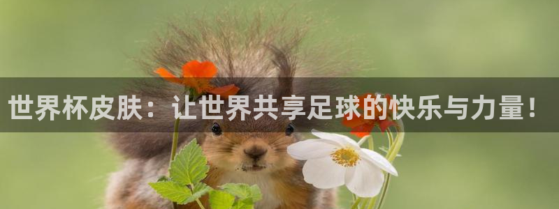 世界杯球队排名：世界杯皮肤：让世界共享足球的快乐与力量！